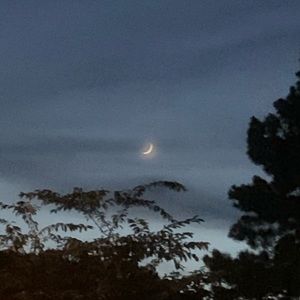 Meet your Posher, Mackenzie